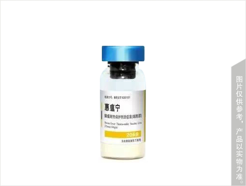 豬瘟耐熱保護劑活疫苗(細胞源)